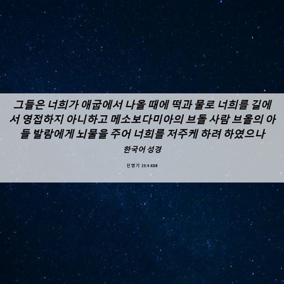 Picture 06 - 신명기 23:4 KOR - 그들은 너희가 애굽에서 나올 때에 - Bible Verse Picture