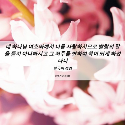 Picture 06 - 신명기 23:5 KOR - 네 하나님 여호와께서 너를 - Bible Verse Picture