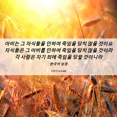 Picture 06 - 신명기 24:16 KOR - 아비는 그 자식들을 인하여 죽임을 - Bible Verse Picture