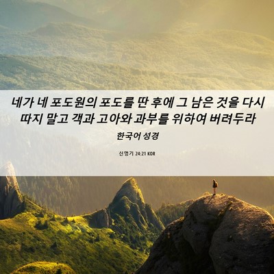 Picture 06 - 신명기 24:21 KOR - 네가 네 포도원의 포도를 딴 후에 그 - Bible Verse Picture