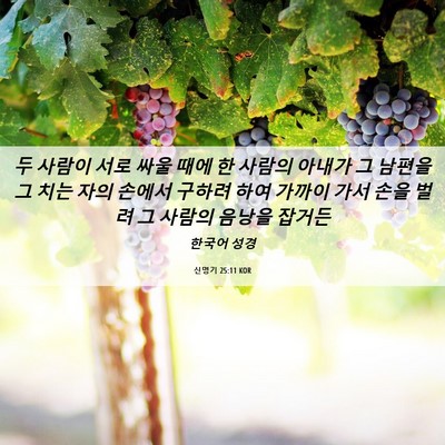 Picture 06 - 신명기 25:11 KOR - 두 사람이 서로 싸울 때에 한 사람의 - Bible Verse Picture