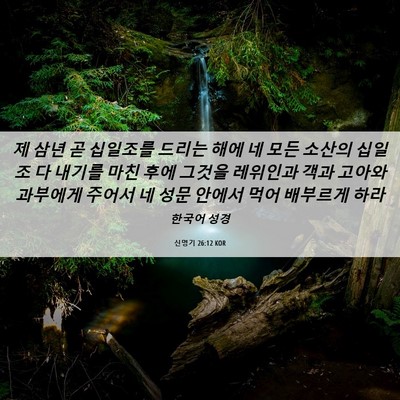 Picture 06 - 신명기 26:12 KOR - 제 삼년 곧 십일조를 드리는 해에 네 - Bible Verse Picture