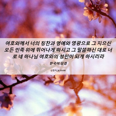 Picture 06 - 신명기 26:19 KOR - 여호와께서 너의 칭찬과 명예와 - Bible Verse Picture
