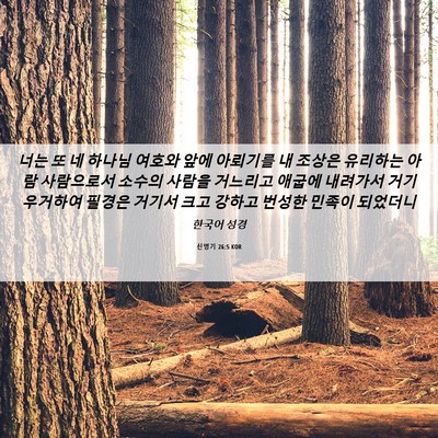 Picture 06 - 신명기 26:5 KOR - 너는 또 네 하나님 여호와 앞에 - Bible Verse Picture