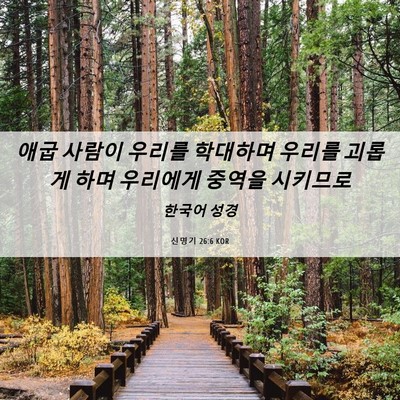 Picture 06 - 신명기 26:6 KOR - 애굽 사람이 우리를 학대하며 우리를 - Bible Verse Picture