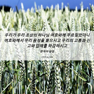 Picture 06 - 신명기 26:7 KOR - 우리가 우리 조상의 하나님 여호와께 - Bible Verse Picture