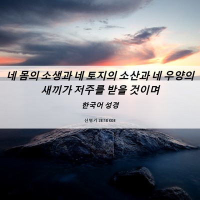 Picture 06 - 신명기 28:18 KOR - 네 몸의 소생과 네 토지의 소산과 네 - Bible Verse Picture
