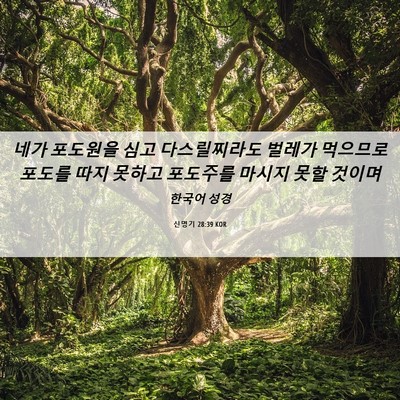 Picture 06 - 신명기 28:39 KOR - 네가 포도원을 심고 다스릴찌라도 - Bible Verse Picture
