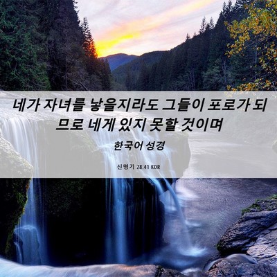 Picture 06 - 신명기 28:41 KOR - 네가 자녀를 낳을지라도 그들이 - Bible Verse Picture