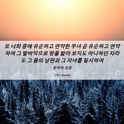 Picture 06 - 신명기 28:56 KOR - 또 너희 중에 유순하고 연약한 부녀 - Bible Verse Picture