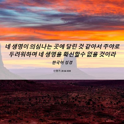 Picture 06 - 신명기 28:66 KOR - 네 생명이 의심나는 곳에 달린 것 - Bible Verse Picture