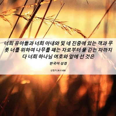 Picture 06 - 신명기 29:11 KOR - 너희 유아들과 너희 아내와 및 네 - Bible Verse Picture