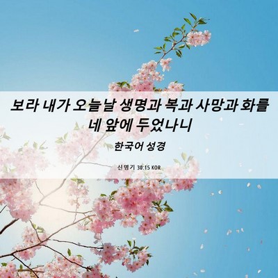Picture 06 - 신명기 30:15 KOR - 보라 내가 오늘날 생명과 복과 - Bible Verse Picture