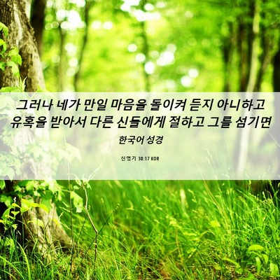 Picture 06 - 신명기 30:17 KOR - 그러나 네가 만일 마음을 돌이켜 - Bible Verse Picture