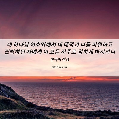 Picture 06 - 신명기 30:7 KOR - 네 하나님 여호와께서 네 대적과 - Bible Verse Picture