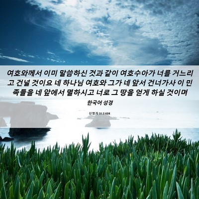Picture 06 - 신명기 31:3 KOR - 여호와께서 이미 말씀하신 것과 같이 - Bible Verse Picture