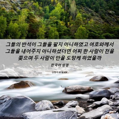 Picture 06 - 신명기 32:30 KOR - 그들의 반석이 그들을 팔지 - Bible Verse Picture