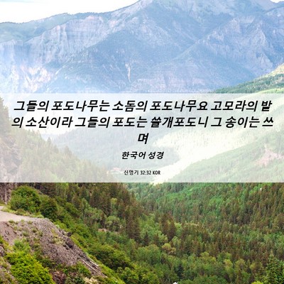 Picture 06 - 신명기 32:32 KOR - 그들의 포도나무는 소돔의 - Bible Verse Picture