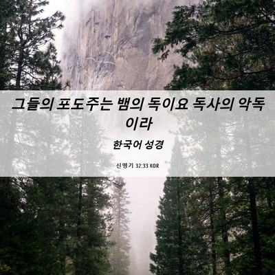 Picture 06 - 신명기 32:33 KOR - 그들의 포도주는 뱀의 독이요 독사의 - Bible Verse Picture