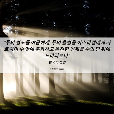 Picture 06 - 신명기 33:10 KOR - 