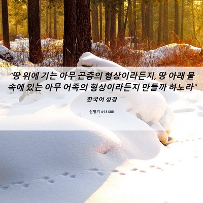 Picture 06 - 신명기 4:18 KOR - 