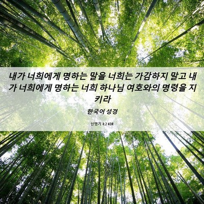 Picture 06 - 신명기 4:2 KOR - 내가 너희에게 명하는 말을 너희는 - Bible Verse Picture