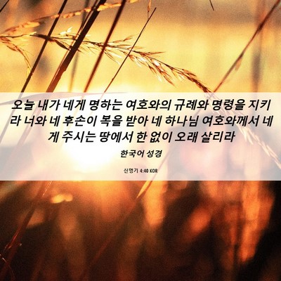 Picture 06 - 신명기 4:40 KOR - 오늘 내가 네게 명하는 여호와의 - Bible Verse Picture