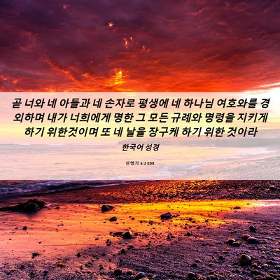 Picture 06 - 신명기 6:2 KOR - 곧 너와 네 아들과 네 손자로 평생에 - Bible Verse Picture