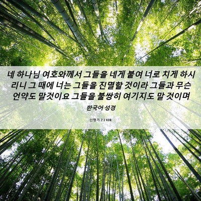 Picture 06 - 신명기 7:2 KOR - 네 하나님 여호와께서 그들을 네게 - Bible Verse Picture
