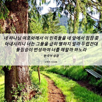 Picture 06 - 신명기 7:22 KOR - 네 하나님 여호와께서 이 민족들을 - Bible Verse Picture