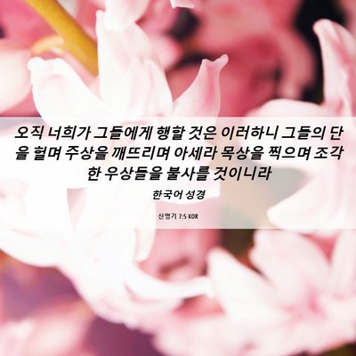 Picture 06 - 신명기 7:5 KOR - 오직 너희가 그들에게 행할 것은 - Bible Verse Picture