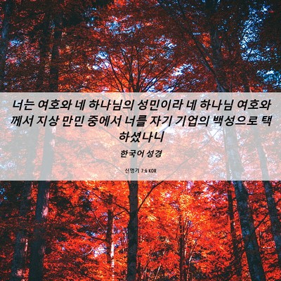 Picture 06 - 신명기 7:6 KOR - 너는 여호와 네 하나님의 성민이라 - Bible Verse Picture