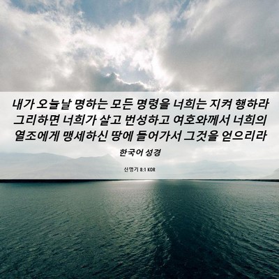 Picture 06 - 신명기 8:1 KOR - 내가 오늘날 명하는 모든 명령을 - Bible Verse Picture