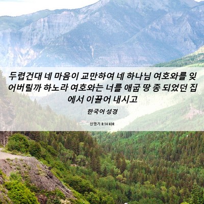 Picture 06 - 신명기 8:14 KOR - 두렵건대 네 마음이 교만하여 네 - Bible Verse Picture