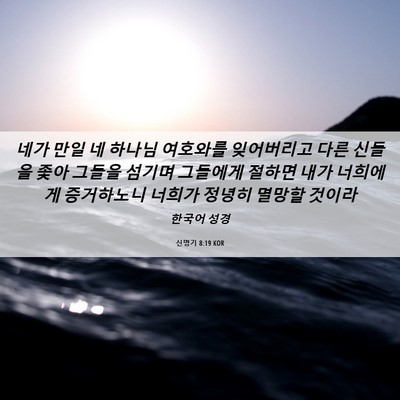 Picture 06 - 신명기 8:19 KOR - 네가 만일 네 하나님 여호와를 - Bible Verse Picture