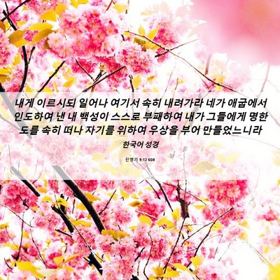 Picture 06 - 신명기 9:12 KOR - 내게 이르시되 일어나 여기서 속히 - Bible Verse Picture