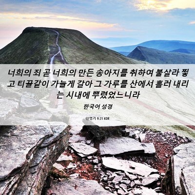 Picture 06 - 신명기 9:21 KOR - 너희의 죄 곧 너희의 만든 송아지를 - Bible Verse Picture