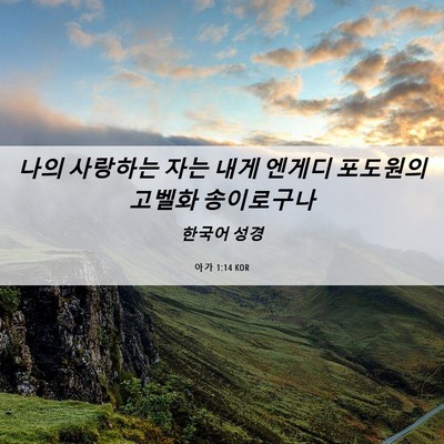 Picture 06 - 아가 1:14 KOR - 나의 사랑하는 자는 내게 엔게디 - Bible Verse Picture