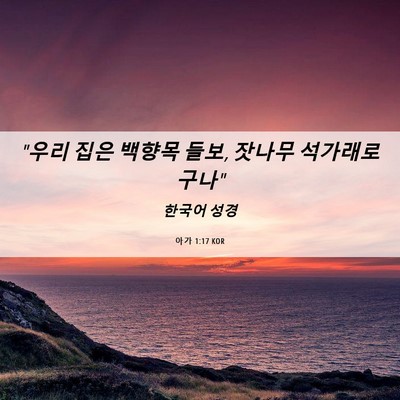 Picture 06 - 아가 1:17 KOR - 