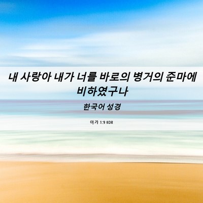 Picture 06 - 아가 1:9 KOR - 내 사랑아 내가 너를 바로의 병거의 - Bible Verse Picture