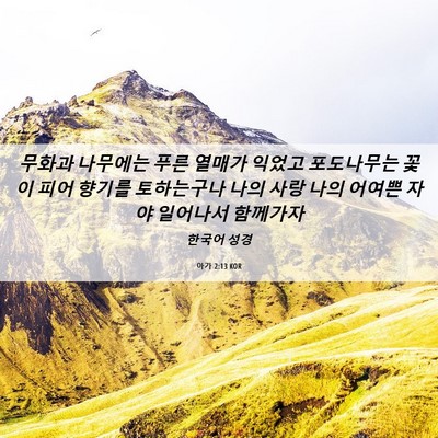 Picture 06 - 아가 2:13 KOR - 무화과 나무에는 푸른 열매가 익었고 - Bible Verse Picture