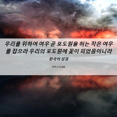 Picture 06 - 아가 2:15 KOR - 우리를 위하여 여우 곧 포도원을 - Bible Verse Picture