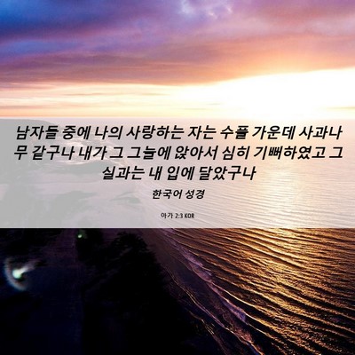 Picture 06 - 아가 2:3 KOR - 남자들 중에 나의 사랑하는 자는 - Bible Verse Picture