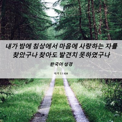 Picture 06 - 아가 3:1 KOR - 내가 밤에 침상에서 마음에 사랑하는 - Bible Verse Picture