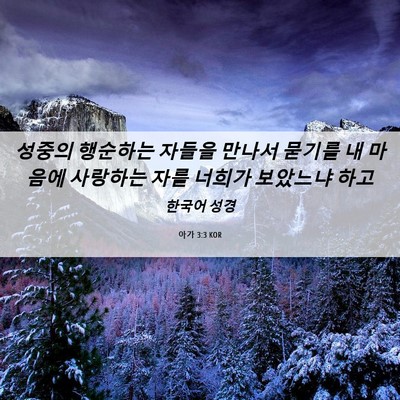 Picture 06 - 아가 3:3 KOR - 성중의 행순하는 자들을 만나서 - Bible Verse Picture