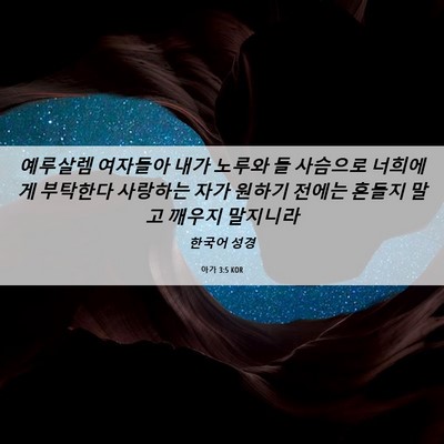 Picture 06 - 아가 3:5 KOR - 예루살렘 여자들아 내가 노루와 들 - Bible Verse Picture