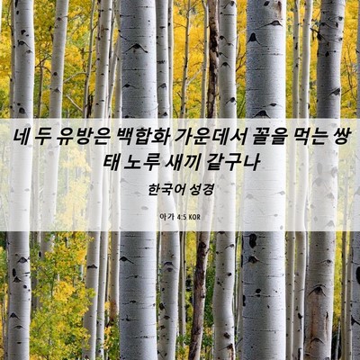 Picture 06 - 아가 4:5 KOR - 네 두 유방은 백합화 가운데서 꼴을 - Bible Verse Picture