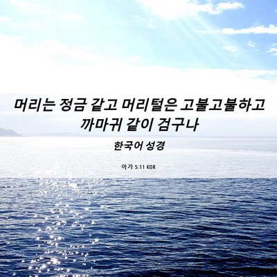 Picture 06 - 아가 5:11 KOR - 머리는 정금 같고 머리털은 - Bible Verse Picture