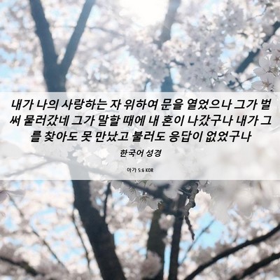 Picture 06 - 아가 5:6 KOR - 내가 나의 사랑하는 자 위하여 문을 - Bible Verse Picture
