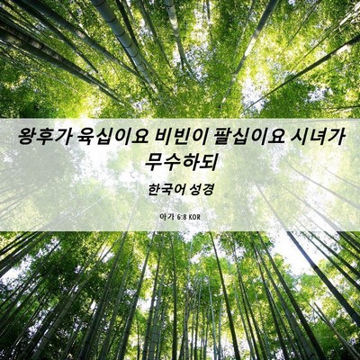 Picture 06 - 아가 6:8 KOR - 왕후가 육십이요 비빈이 팔십이요 - Bible Verse Picture